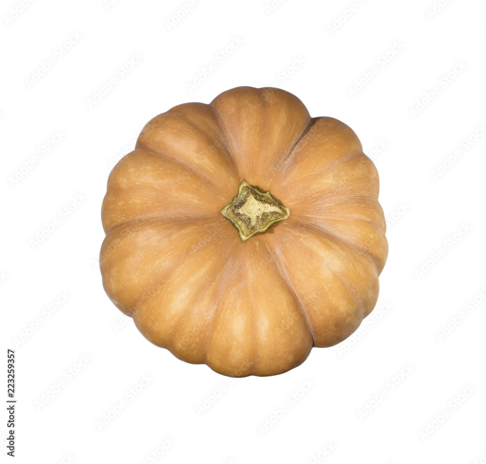 Top view of single pumpkin isolated in white background. Top view of single pumpkin isolated in white background.