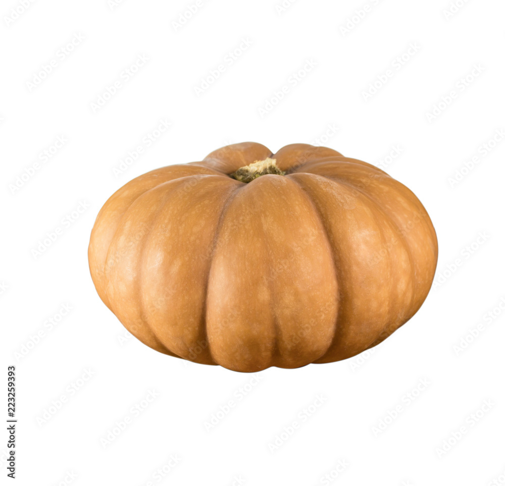 Sideview of single pumpkin isolated in white background. Sideview of single pumpkin isolated in white background.