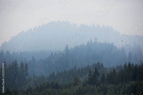 Smoke covered mountains from the Terwilliger Fire in the Willamette National Forest.