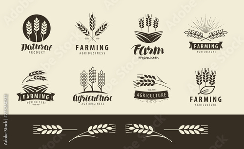 Agriculture, wheat logo or label. Farm, farming set of icons. Vector illustration