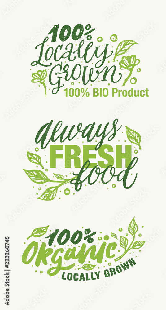 Fototapeta Organic Product, Made in Nature and Locally Grown Vegan logos and elements collection for food market, ecommerce, products promotion, healthy life and premium quality food and drink. Hand typography.