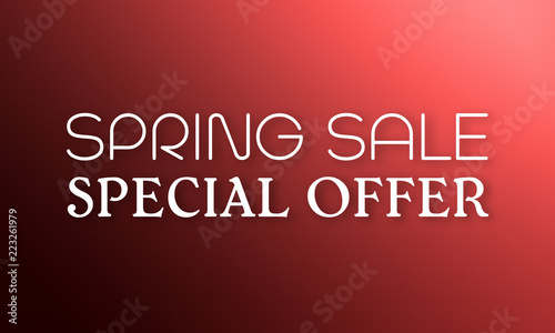 Spring Sale Special Offer - 