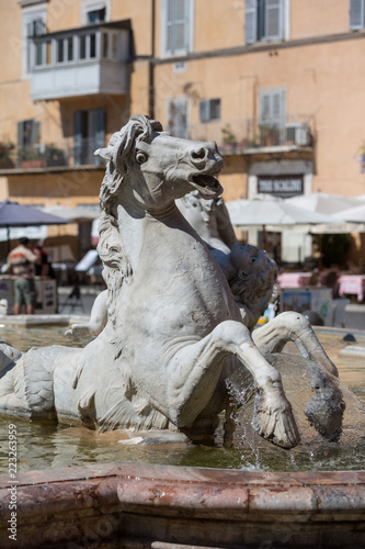 Detail from the Fountain of Neptune (Fontana del Nettuno), which is a fountain located at the north end of the Piazza Navona.