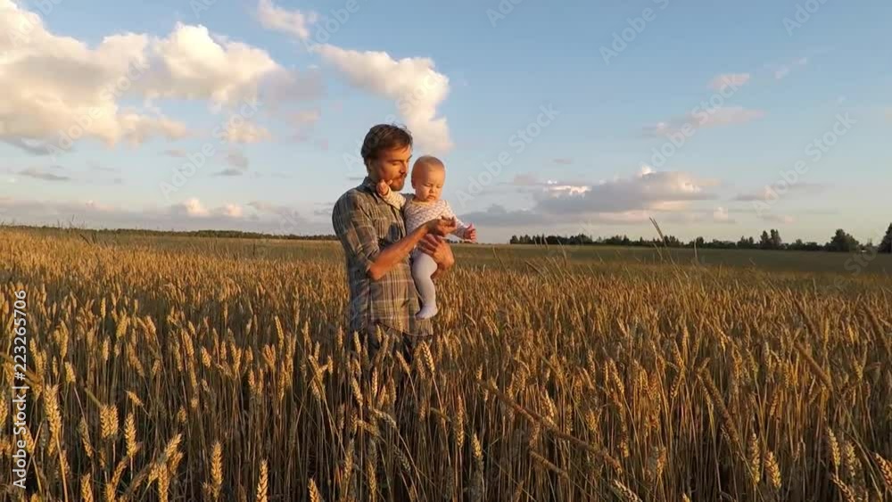 Father with little son in his arms walk through the field of ripe barley. Dad shows the barley grain to his child. Father with little son in his arms walk through the field of ripe barley. Dad shows the barley grain to his child.