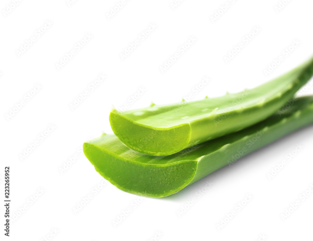 Aloe vera leaves on white background Aloe vera leaves on white background
