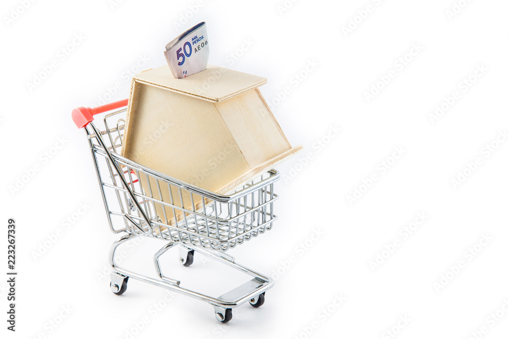 Buying a new house concept. House shaped money box into a shopping cart