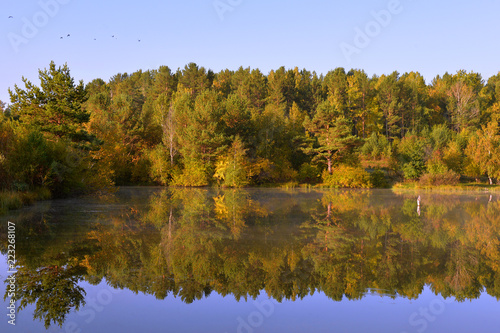 Autumn landscape by the lake. Reflection of the forest in the water in autumn. Beautiful autumn landscape with forest and water