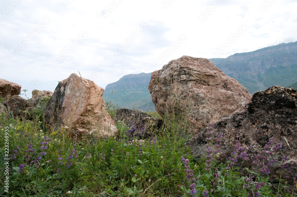 Beautiful and picturesque mountain landscape