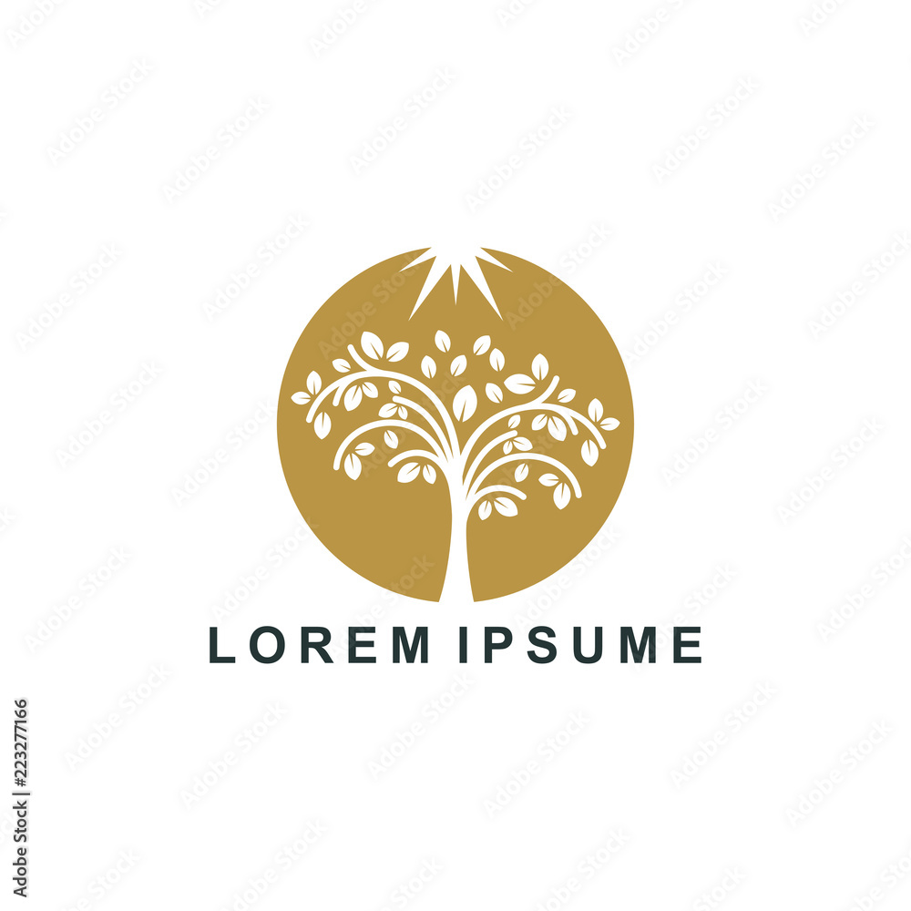 Fototapeta premium natural wood logo. nature tree icon symbol, organic farm vector illustration