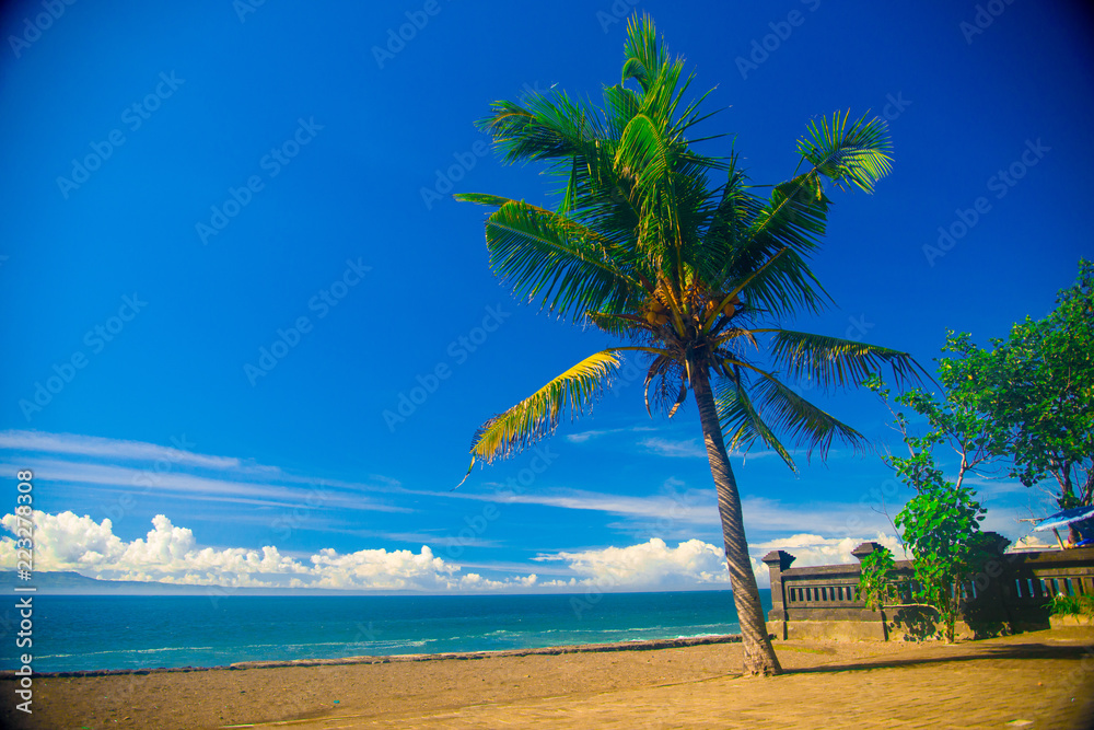 Obraz premium Palm Tree on the beach nearby the east side of the Bali island, Indonesia. Bali is known as the beautiful ocean view with with exotic culture of Indonesia.