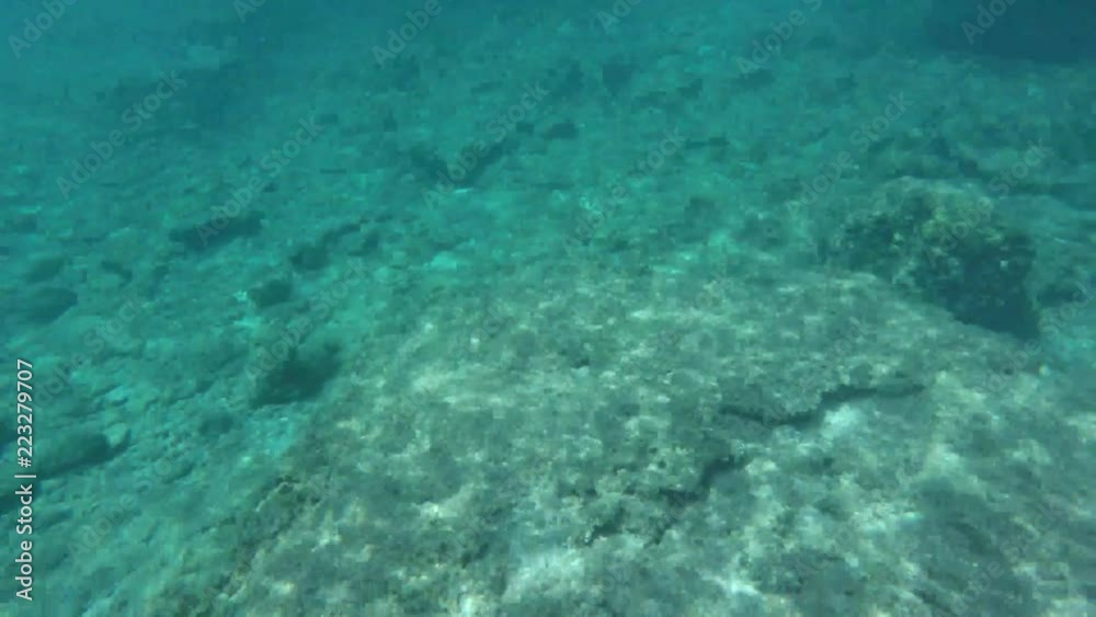 Swimming in Chania Swimming in Chania