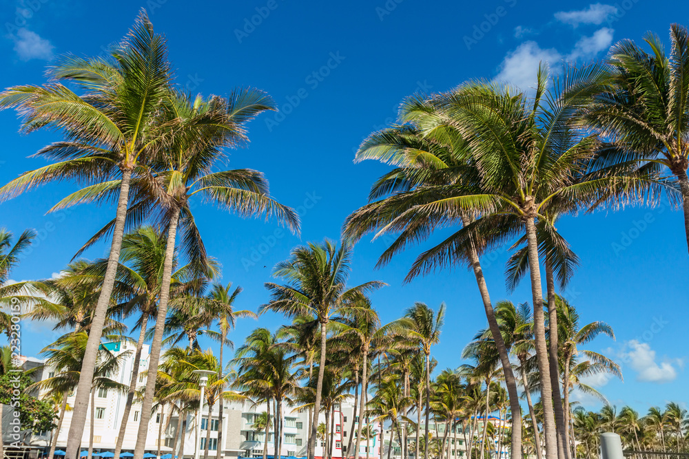A sunny and windy day at ocean drive in Miami Beach