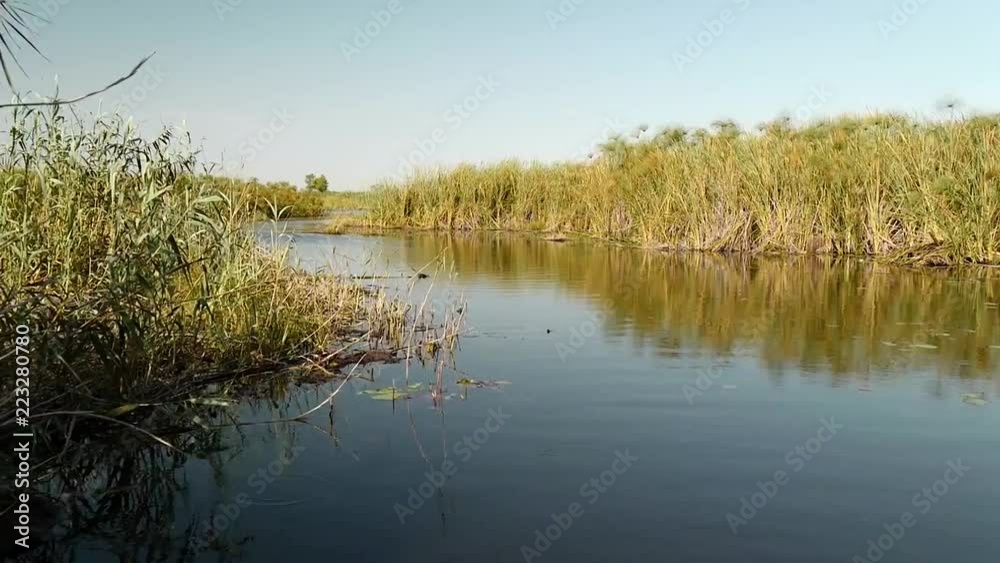boating on the water, Okavango Delta, Botswana boating on the water, Okavango Delta, Botswana