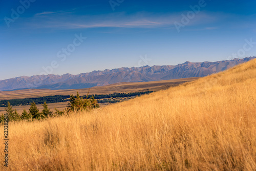 Tekapo, New Zealand © Ali Saadat