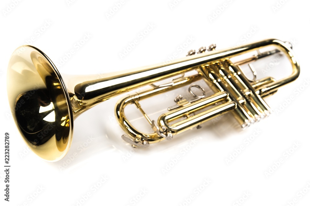 Obraz premium Single Trumpet