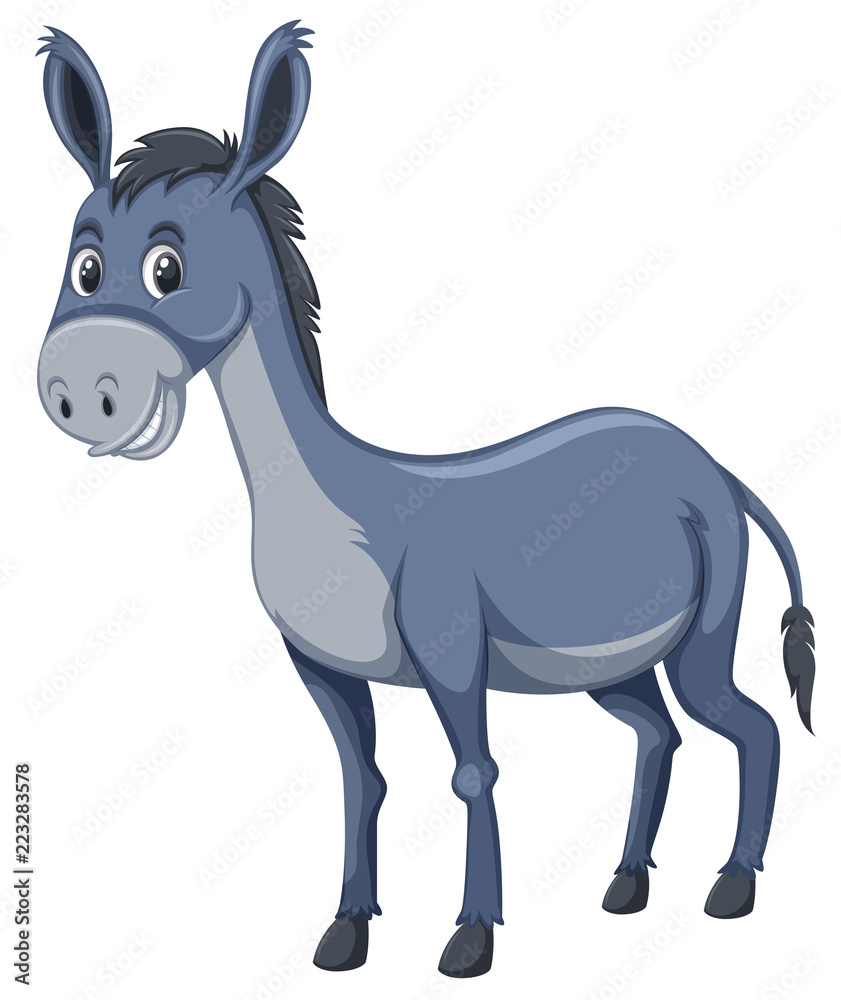 A cute donkey on white background