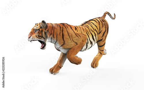 Fototapeta Naklejka Na Ścianę i Meble -  3d Illustration Dangerous Bengal Tiger Roaring and Jumping Isolated on White Background with Clipping Path.