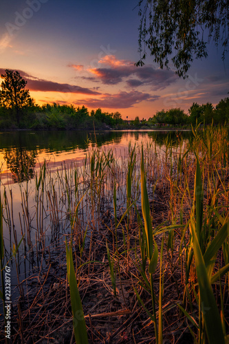 Sunset scene on the lake with vegetation in the foreground and vibrant clouds in the sky