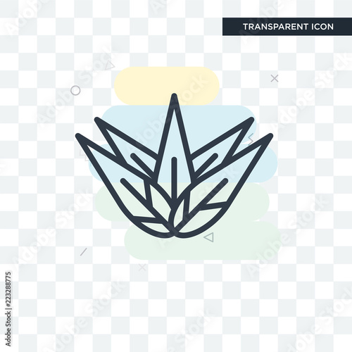 Agave vector icon isolated on transparent background, Agave logo design