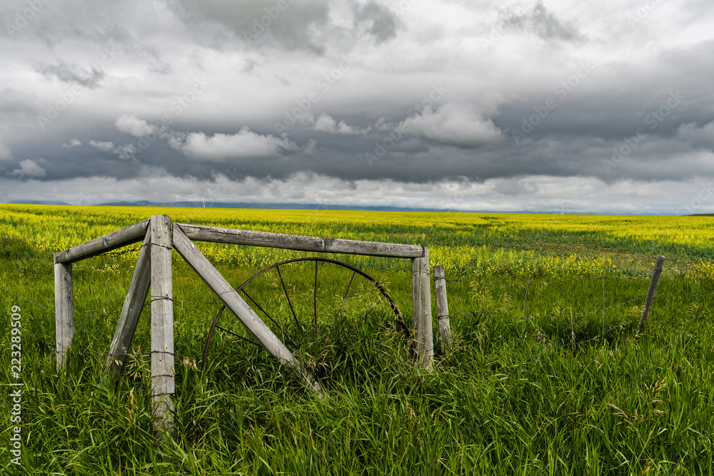 Old fence and field against a dramatic sky in southern Alberta, Canada