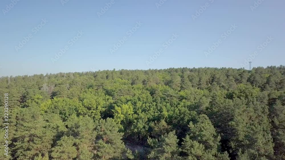 aerial view over forest in sunny summer day aerial view over forest in sunny summer day