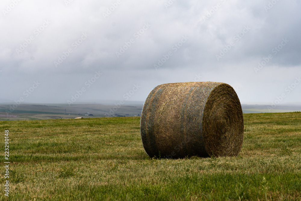 Hay bales in a field against a stormy sky in southern Alberta, Canada