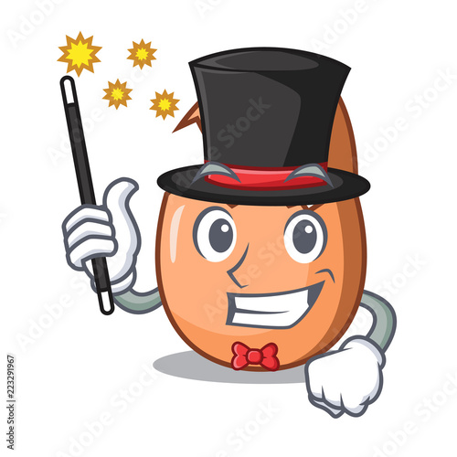 Magician broken egg isolated on the mascot