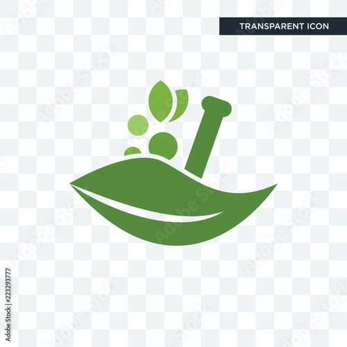 ayurvedic vector icon isolated on transparent background, ayurvedic logo design