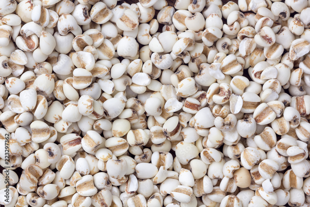 close up millet grain on a background. top view