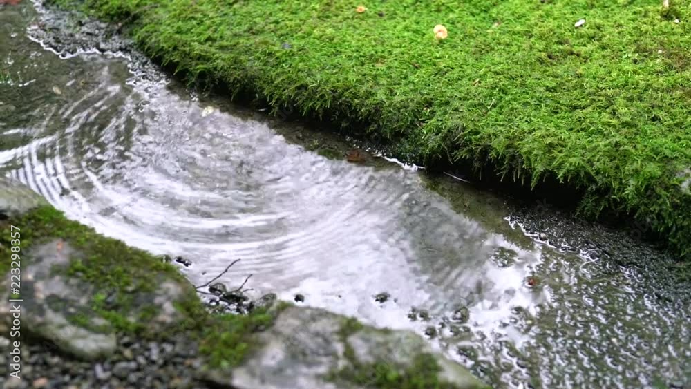 Rain drop on the flowing trough a green lush field. Rain drop on the flowing trough a green lush field.