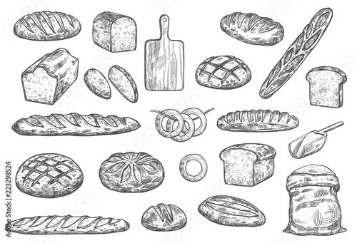 Bread loafs, vector bakery buns and baguettes
