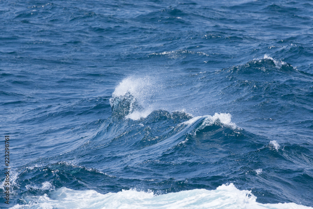 White crest of a sea wave. Selective focus. Shallow depth of field White crest of a sea wave. Selective focus. Shallow depth of field