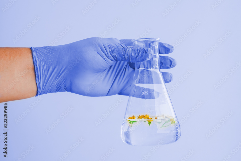 Hand holed a Small plants in test tube for biotechnology medicine research.