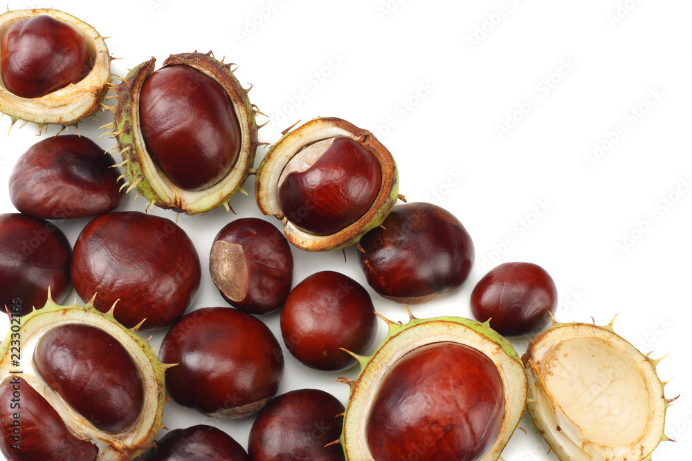 chestnuts isolated on white background. top view chestnuts isolated on white background. top view