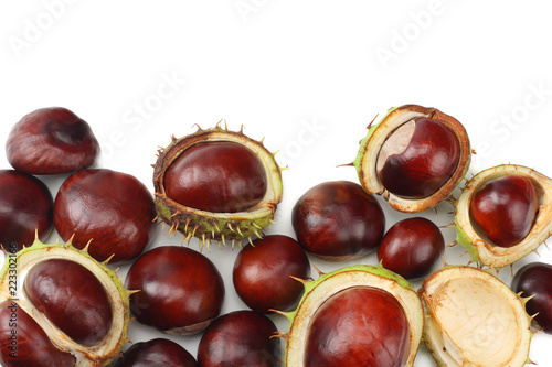 chestnuts isolated on white background. top view