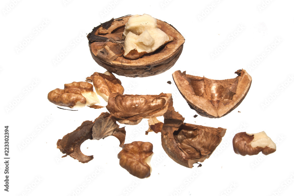 walnut isolated on white background walnut isolated on white background