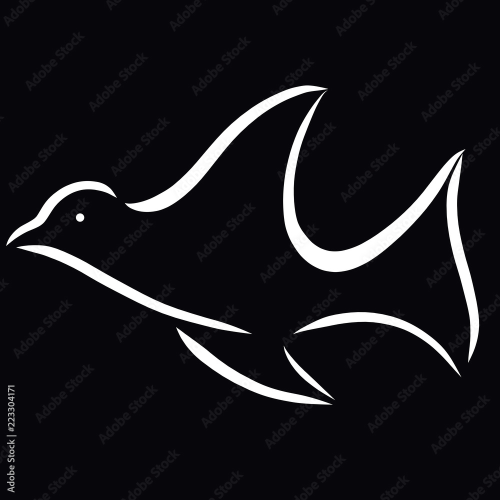 Flying dove, bird on a black background Flying dove, bird on a black background