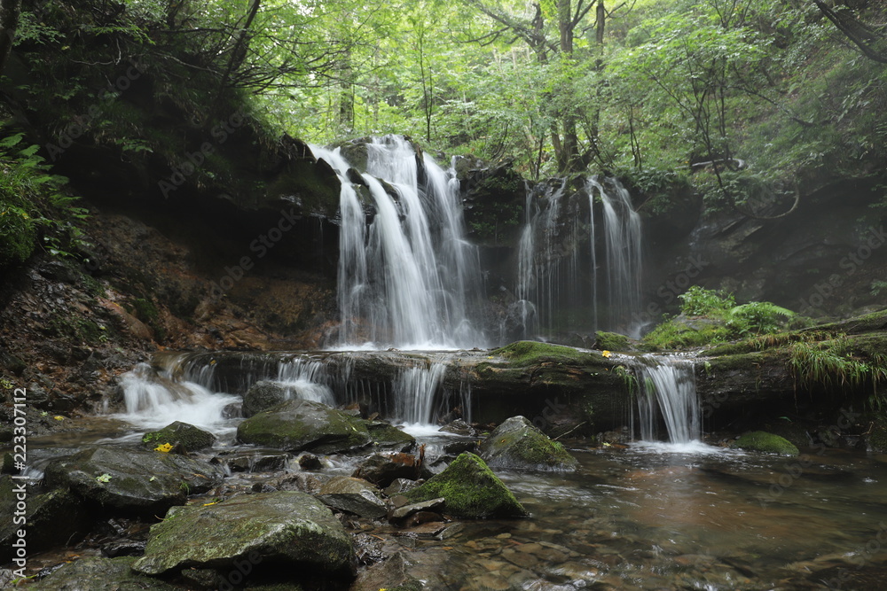 Fototapeta premium 猿壺の滝