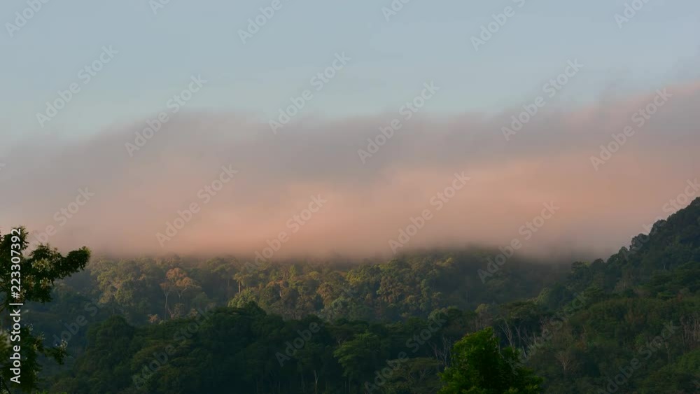 Tranquil mountain landscape time lapse.
Mist moving low in rainforest mountain early morning,4K time lapse. Tranquil mountain landscape time lapse.
Mist moving low in rainforest mountain early morning,4K time lapse.