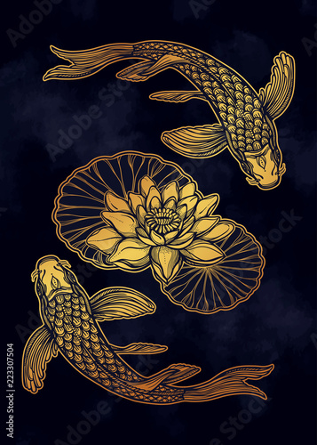 Ethnic fish Koi carp with water lotus flowers