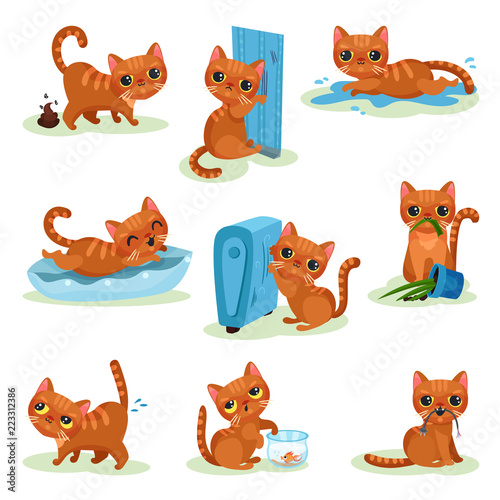 Naughty kitten in different situations, mischievous cute little cat vector Illustrations on a white background