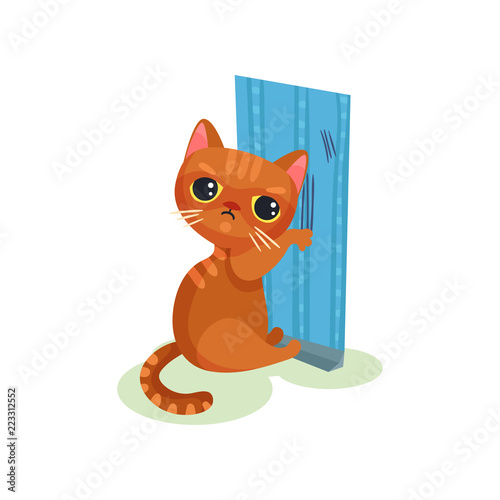 Naughty kitten scratching wallpaper, mischievous cute little cat vector Illustration on a white background