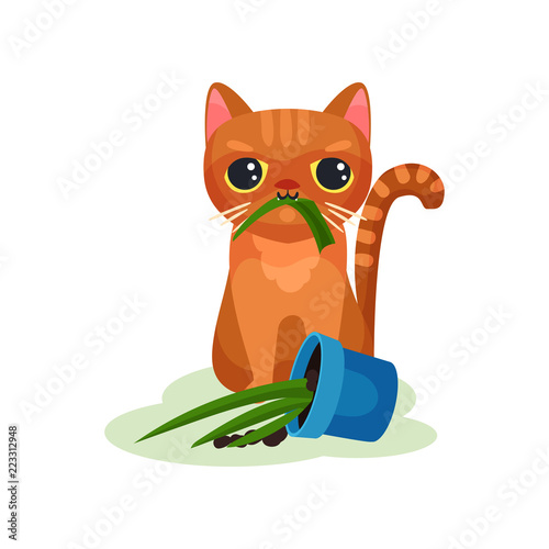 Naughty kitten eating house plant, mischievous cute little cat vector Illustration on a white background
