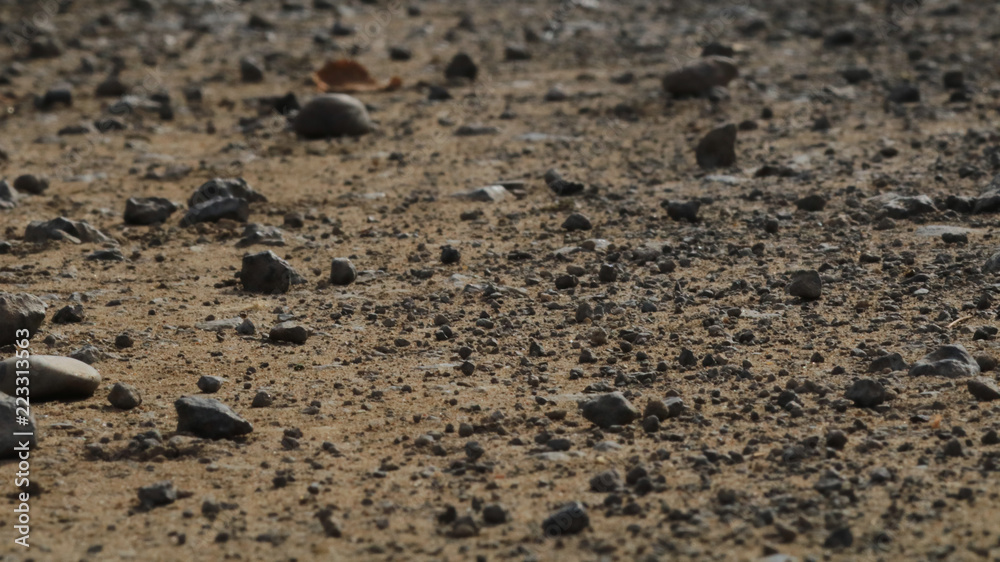 Abstract ground texture background. Sand. Abstract ground texture background. Sand.