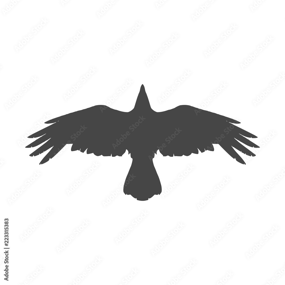 Fototapeta premium Silhouette of a flying crow isolated on white