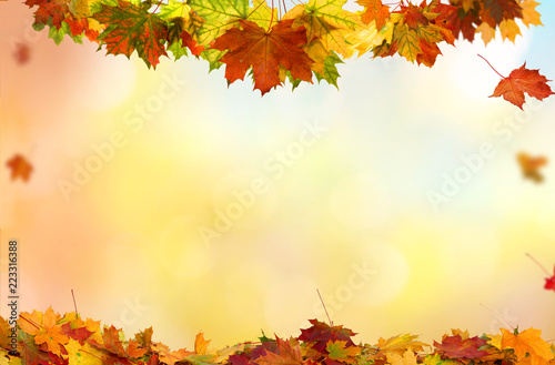 Beautiful  landscape . Colorful foliage in the park. Falling  leaves natural background .