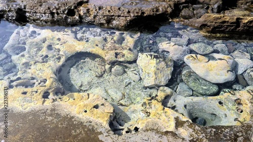 A clean and clear sea water puddle full of small fishes. HD cropped photo