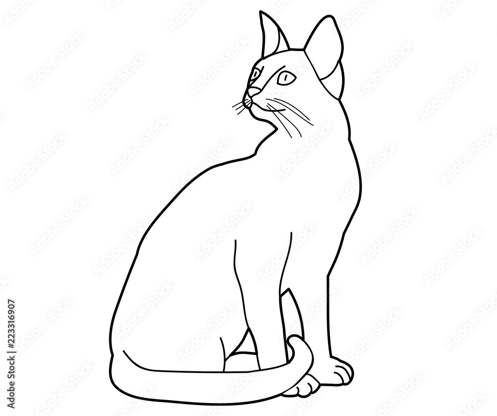 sketch of a cat sitting on a white background Stock Vector | Adobe ...