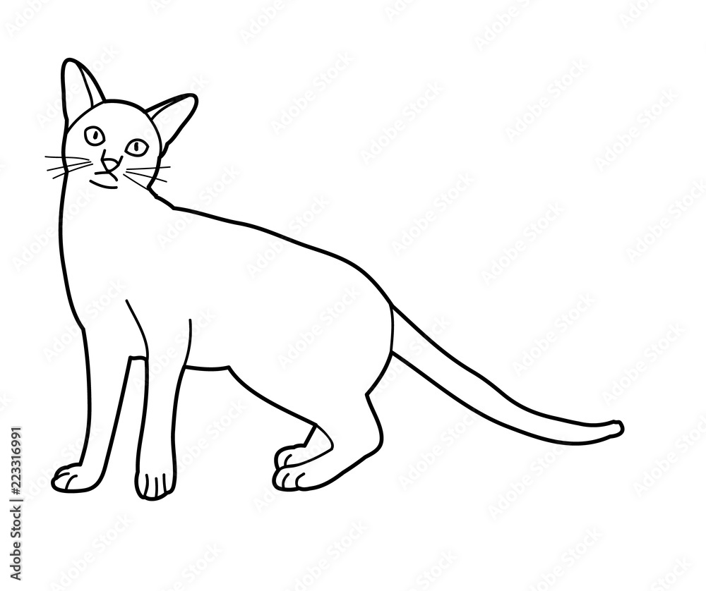 Obraz premium cat sketch on white background