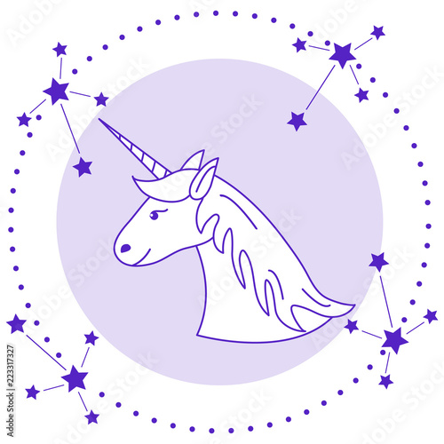 Magic unicorn and constellations.